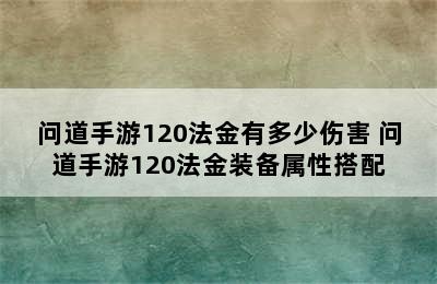 问道手游120法金有多少伤害 问道手游120法金装备属性搭配